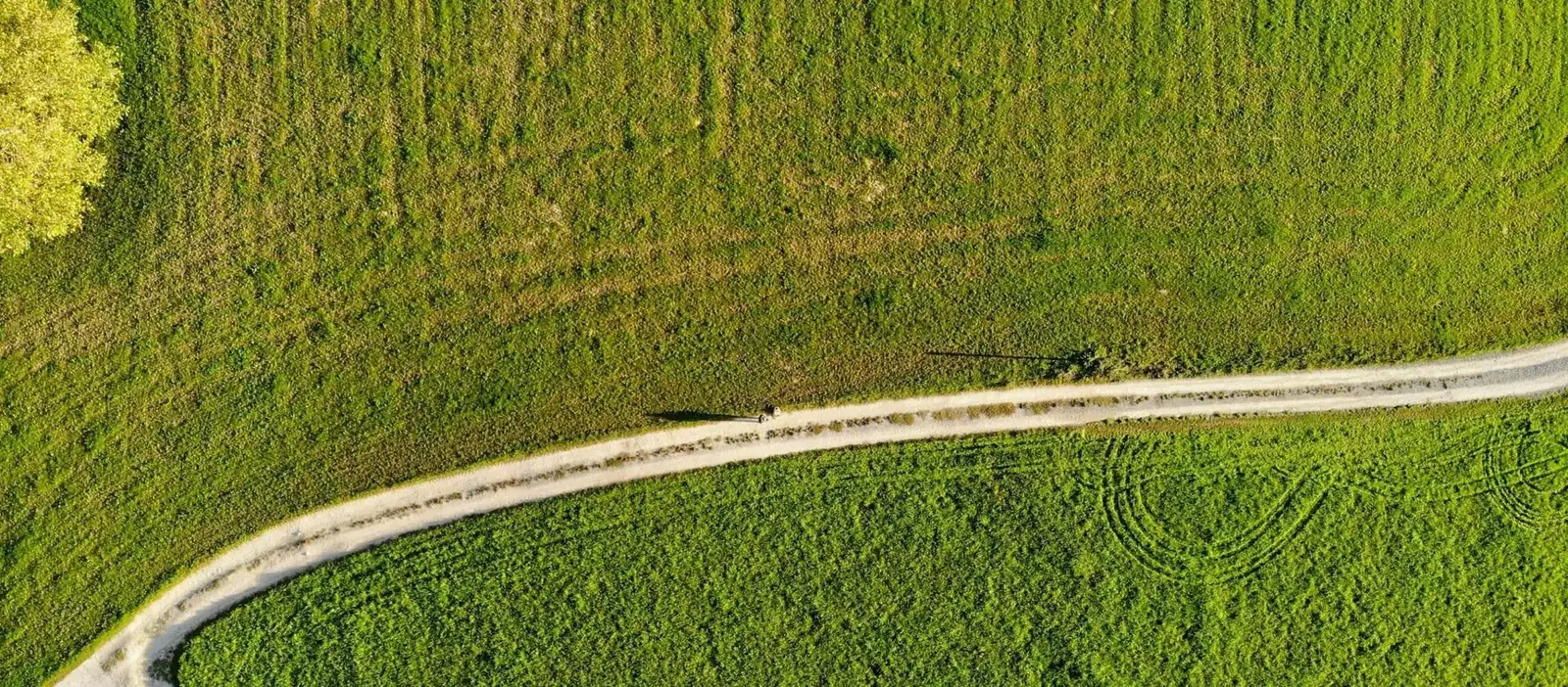 Camino de tierra que cruza un prado verde, visto desde arriba